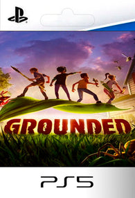 Grounded PS5