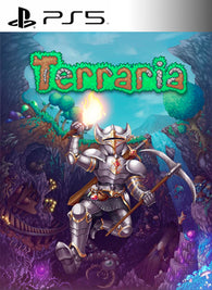 Terraria PS5