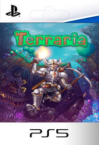 Terraria PS5